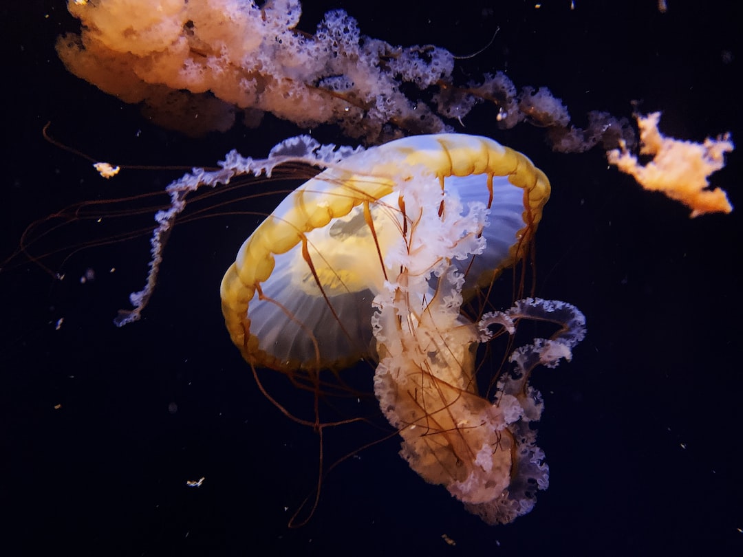 23 wichtige Fragen zu Aquarium Desinfektion