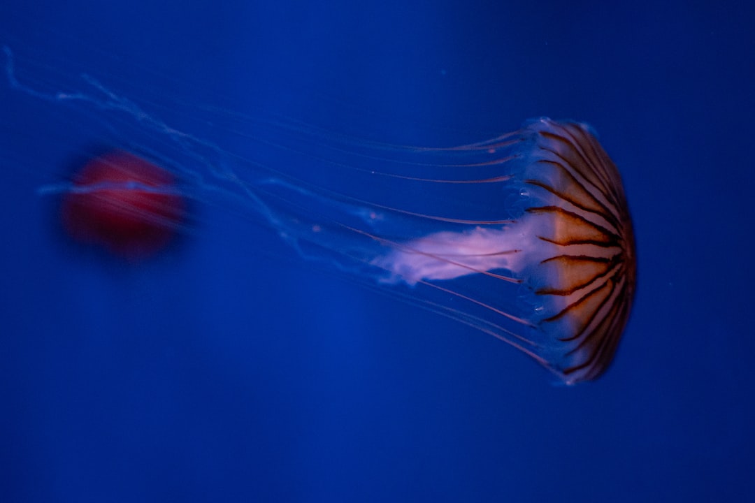24 wichtige Fragen zu Aquarium Glas Zuschnitt