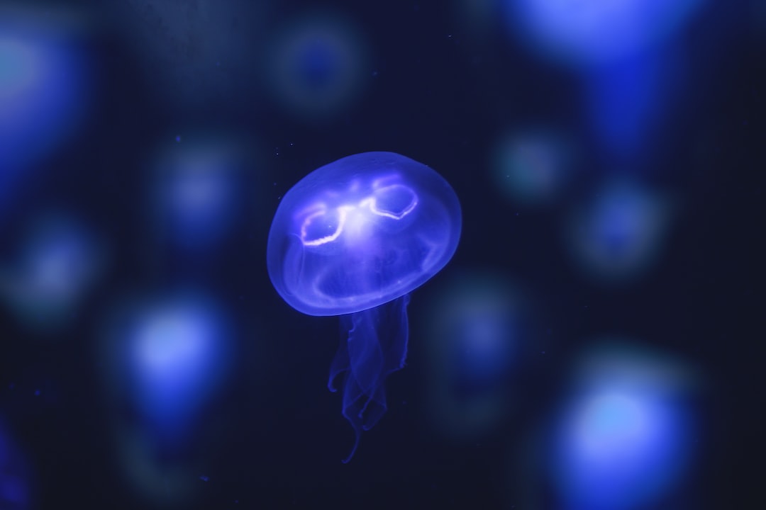 24 wichtige Fragen zu Aquarium Mit Beleuchtung