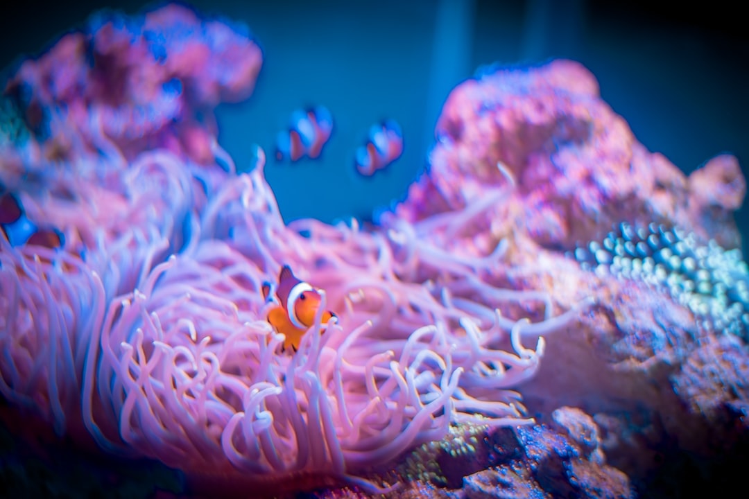 24 wichtige Fragen zu Eisenvolldünger Aquarium
