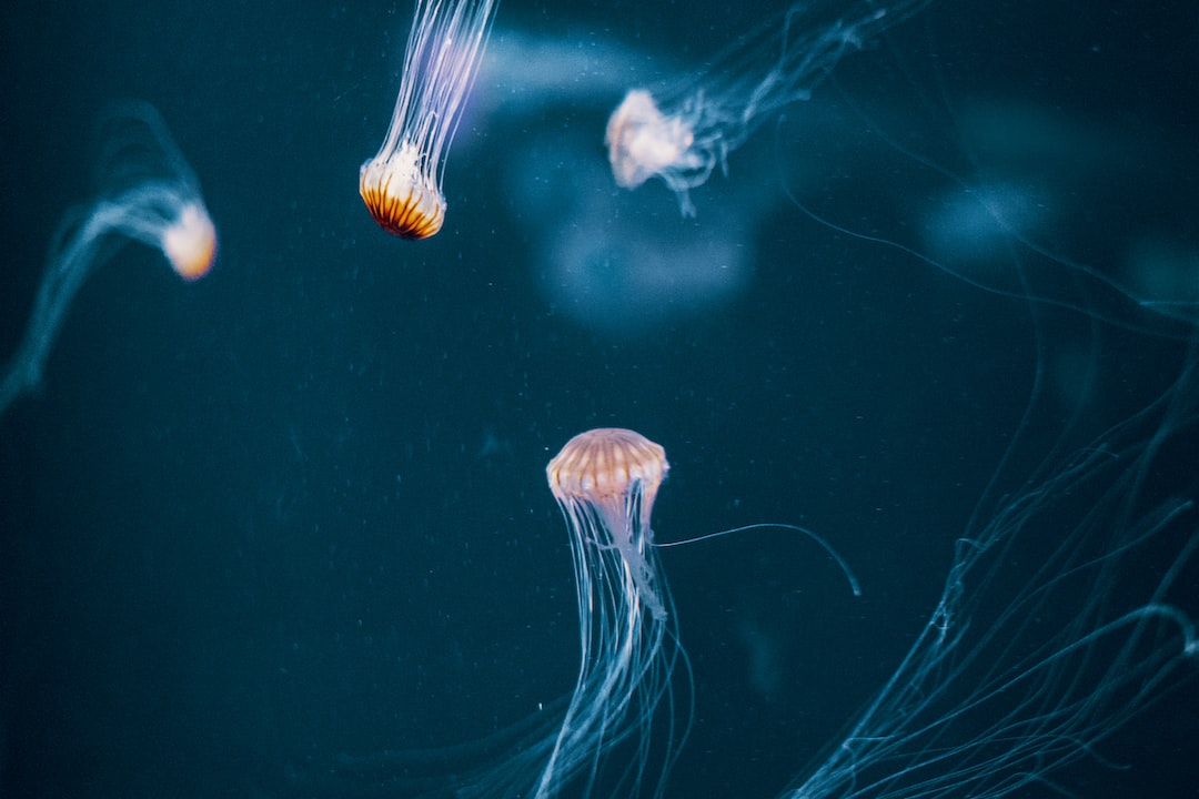 24 wichtige Fragen zu Aquarium Heizung Stromsparend