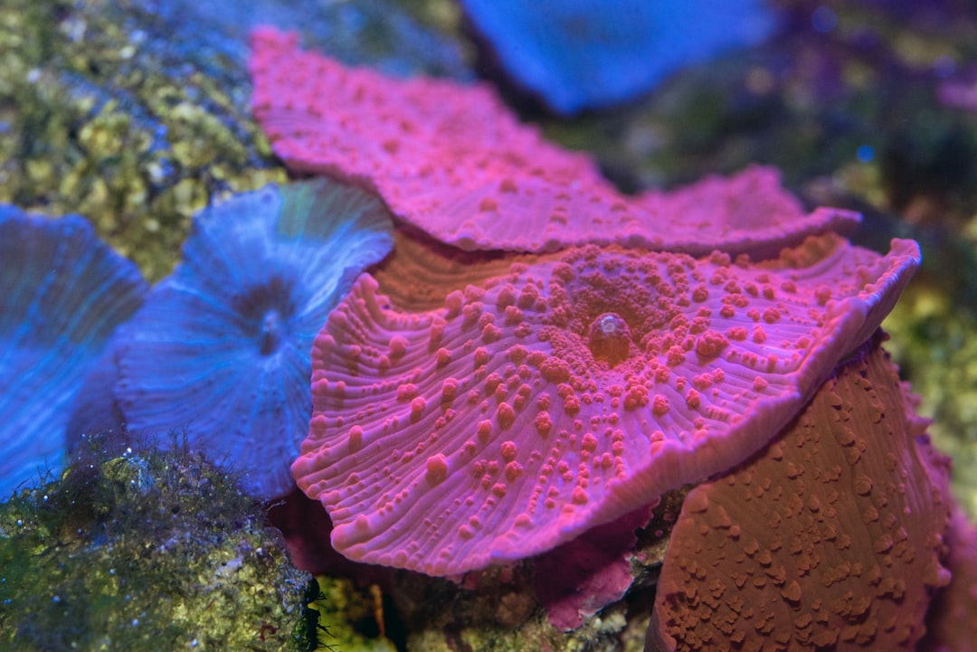 25 wichtige Fragen zu Aquarium Mini
