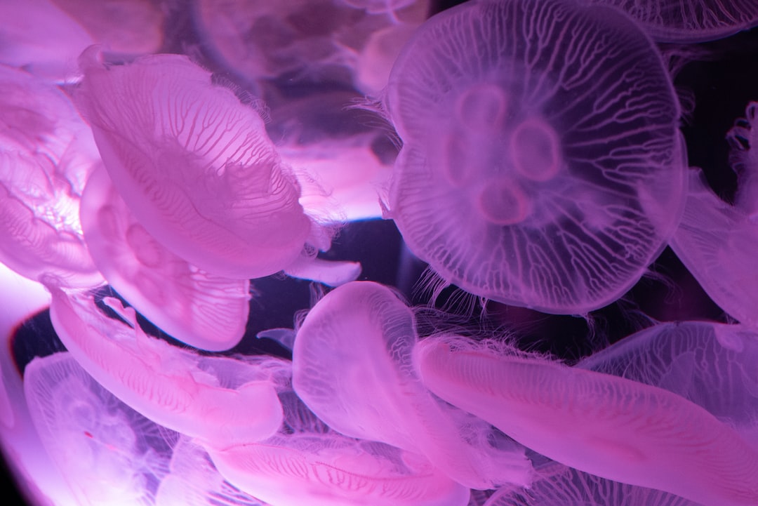 25 wichtige Fragen zu Was Passiert Bei Zuviel Sauerstoff Im Aquarium?