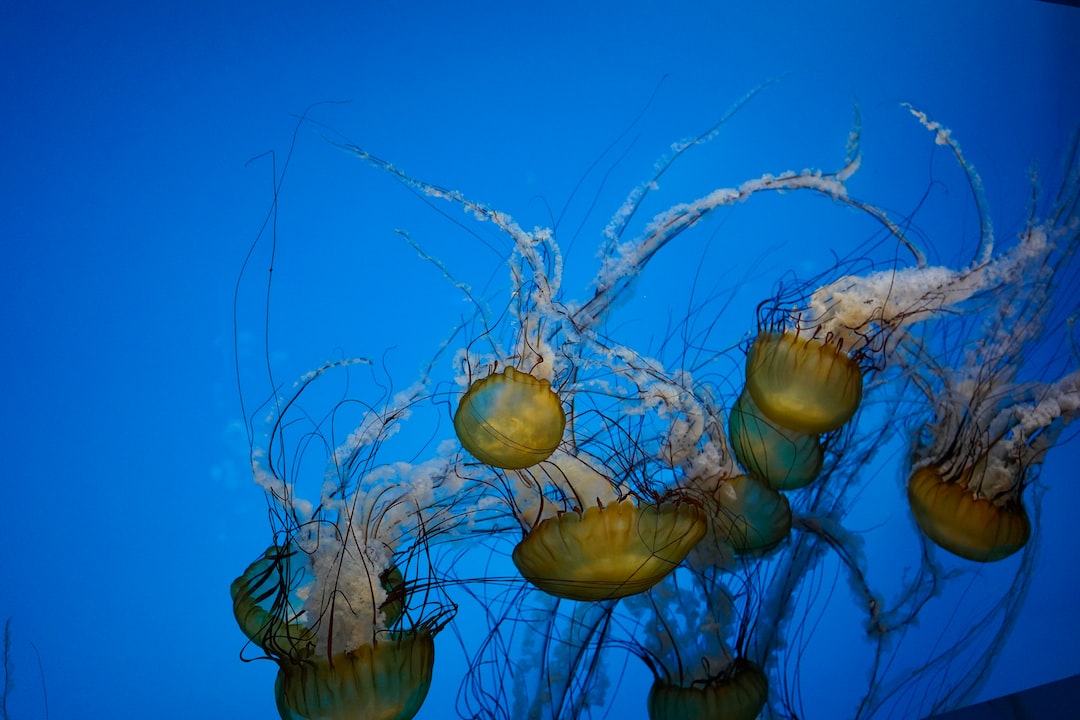 25 wichtige Fragen zu Mini Aal Aquarium