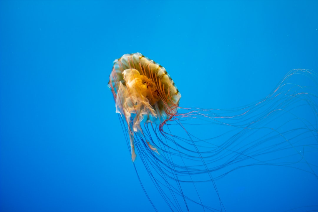 25 wichtige Fragen zu Aquarium Sera Led