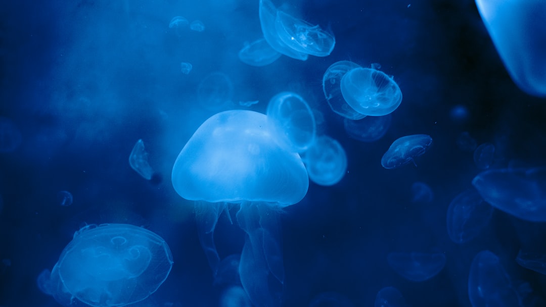 25 wichtige Fragen zu Bakterienstarter Aquarium