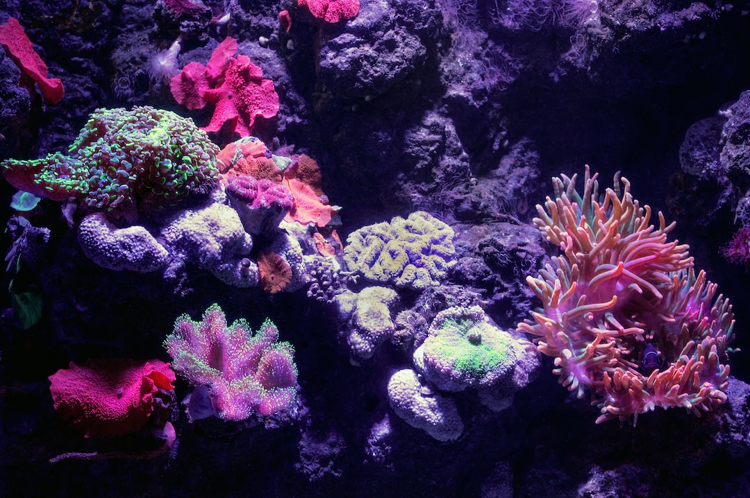 Led Aquarium Lampen