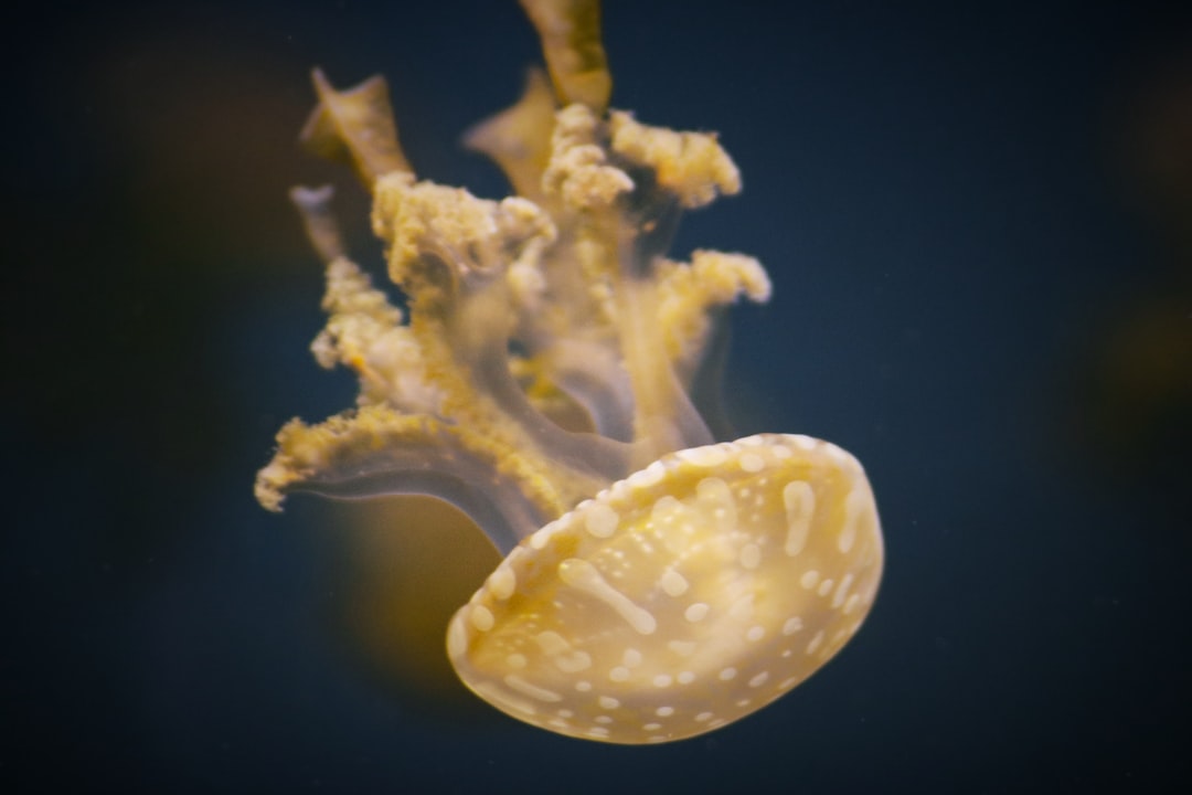 25 wichtige Fragen zu Aquarium Wurzel Pflanzen