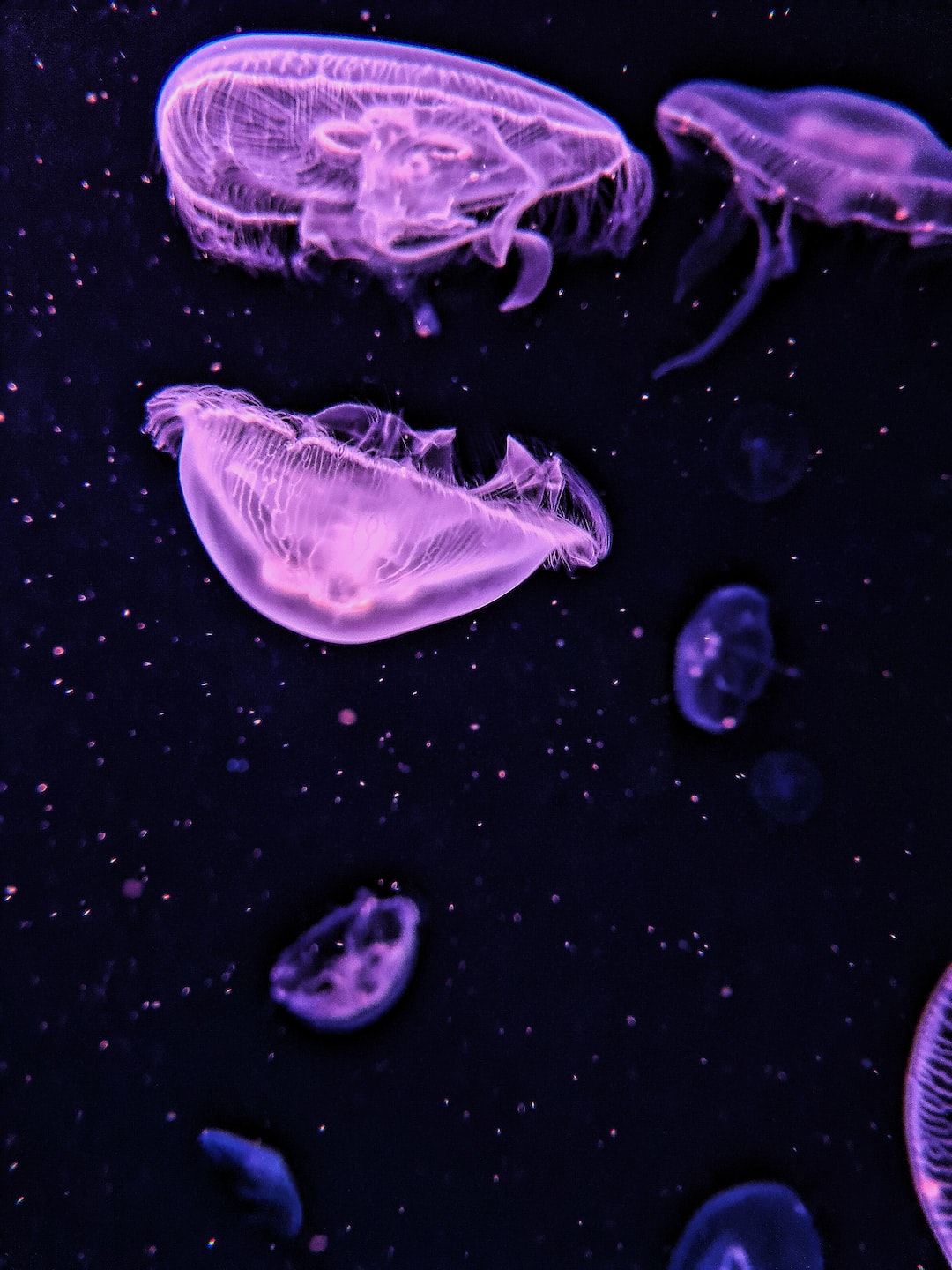 25 wichtige Fragen zu Aquarium Erde