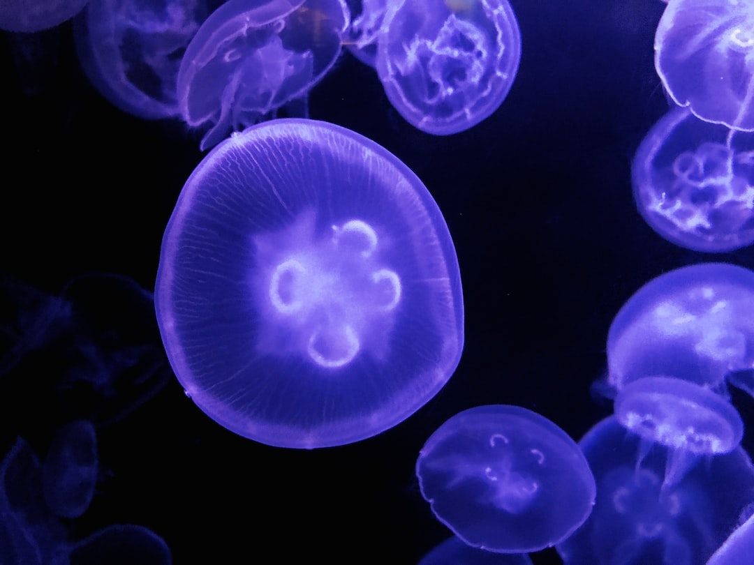 25 wichtige Fragen zu Scheibenputzer Aquarium