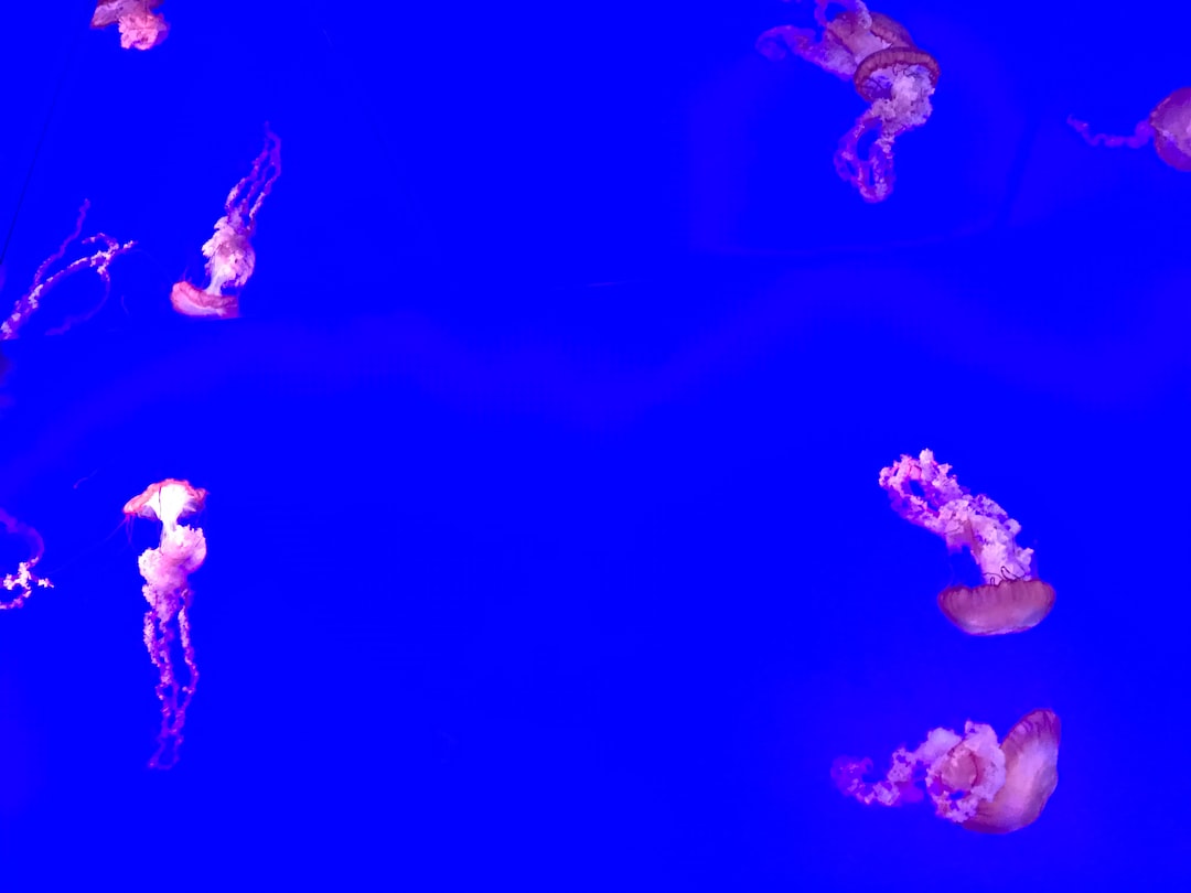 25 wichtige Fragen zu Wie Schlafen Neon Fische?