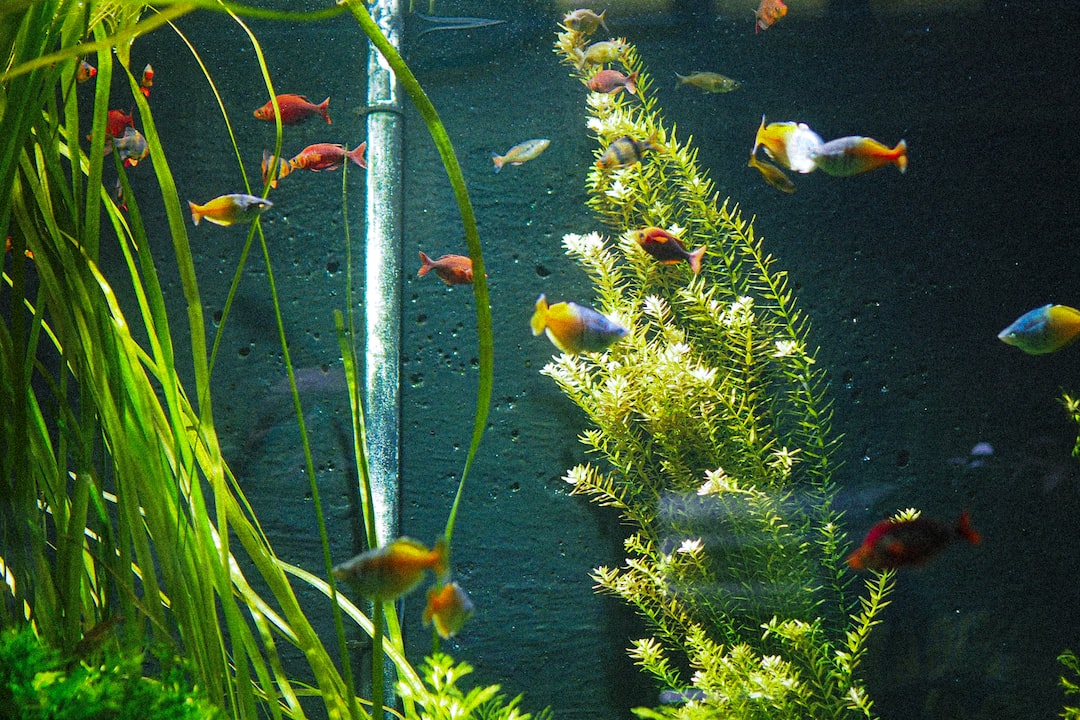 Aquarium Mini Filter
