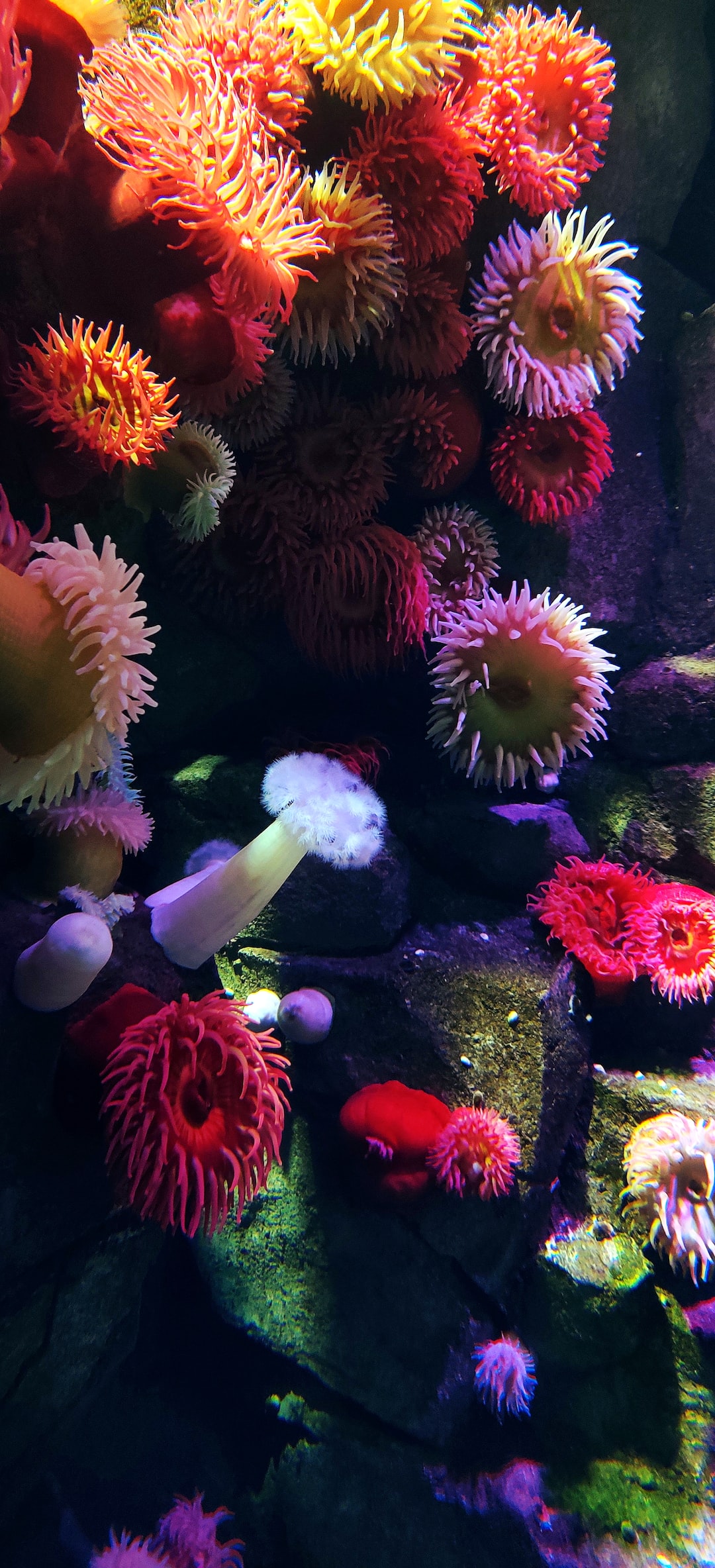 Aquarium Komplett