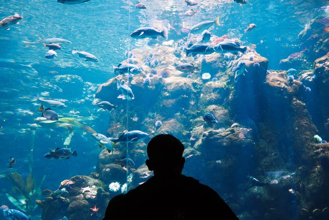 25 wichtige Fragen zu Aquarium Bio Filter