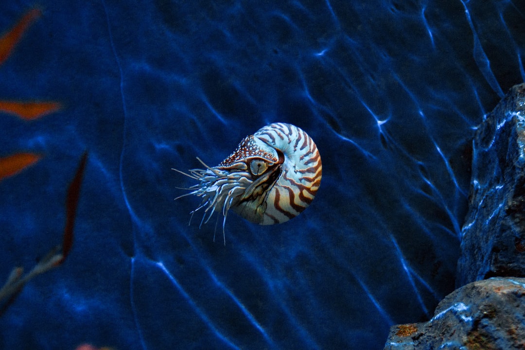 Aquarium Wurm