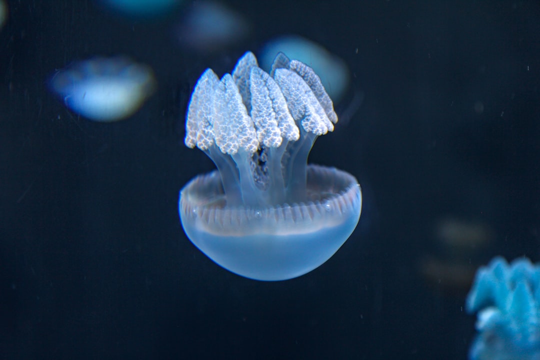 25 wichtige Fragen zu Wie Oft Aquarium Lampen Wechseln?