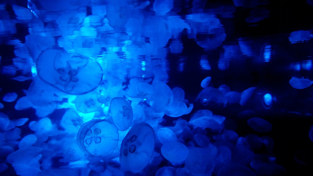 25 wichtige Fragen zu Aquarium Beleuchtungszeit