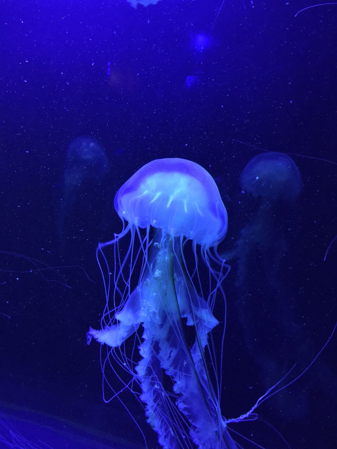25 wichtige Fragen zu Aquarium Stromverbrauch
