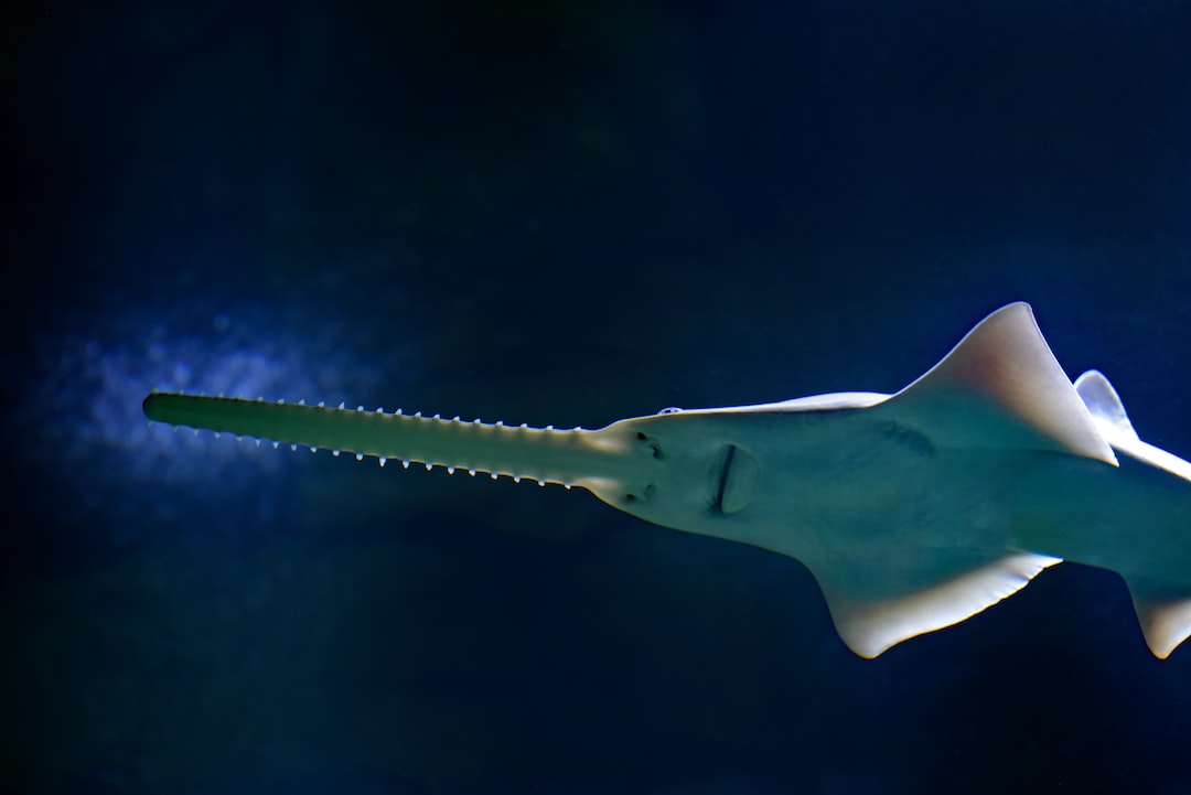 25 wichtige Fragen zu Komplett Aquarium Mit Unterschrank