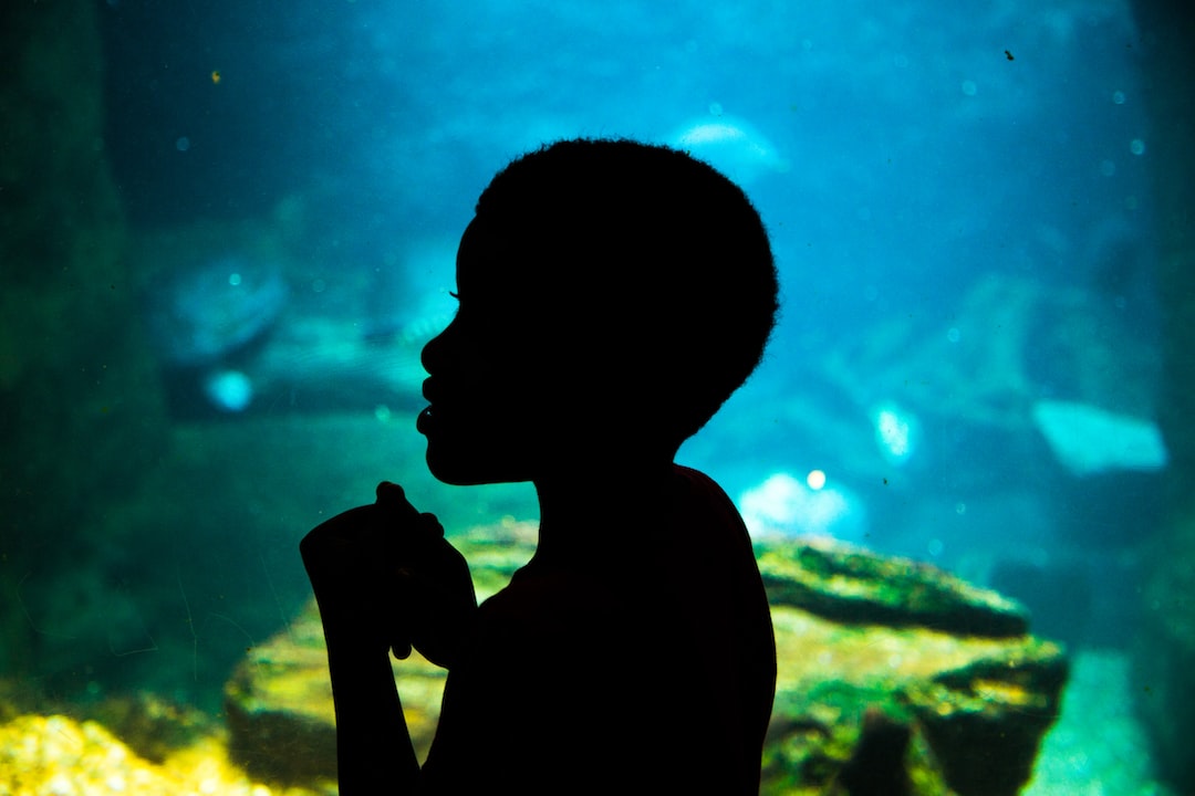 25 wichtige Fragen zu Lavakies Aquarium