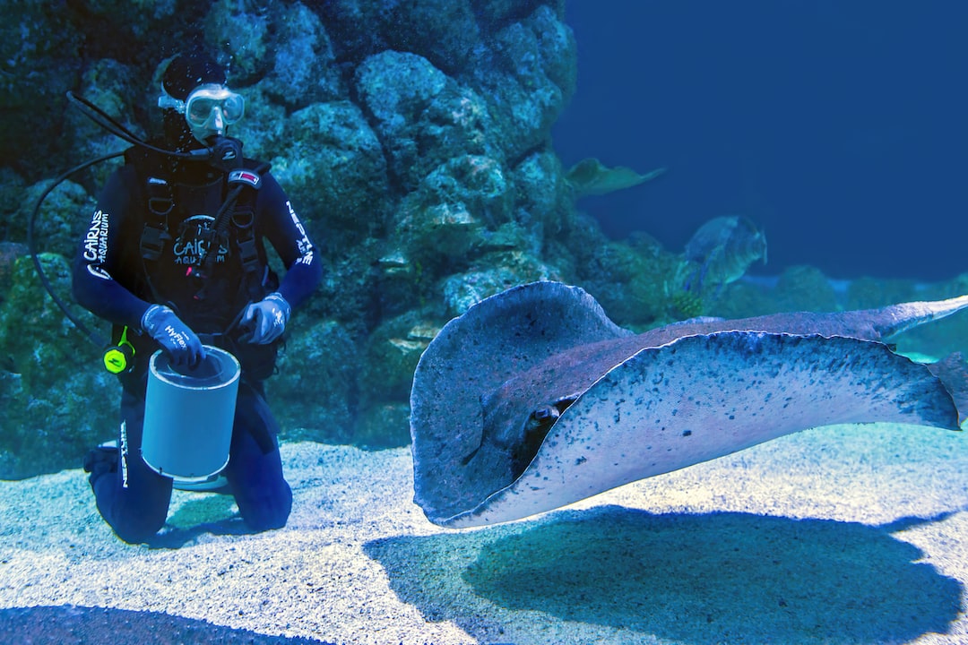 25 wichtige Fragen zu Wie Funktioniert Ein Quallen Aquarium?