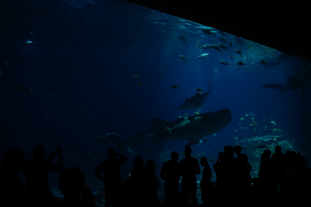 Aquarium Mit Unterschrank Komplett
