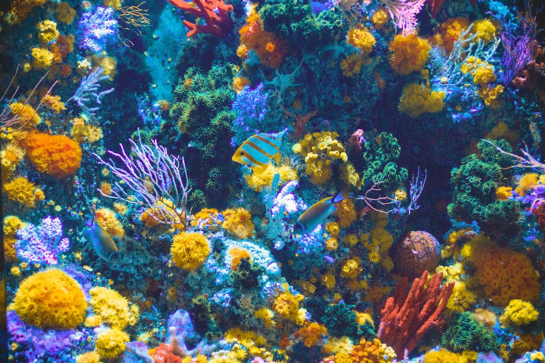 25 wichtige Fragen zu Aquarium Filtermedium