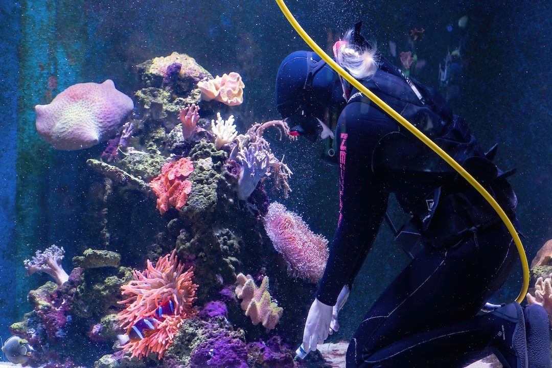 Efeutute Aquarium