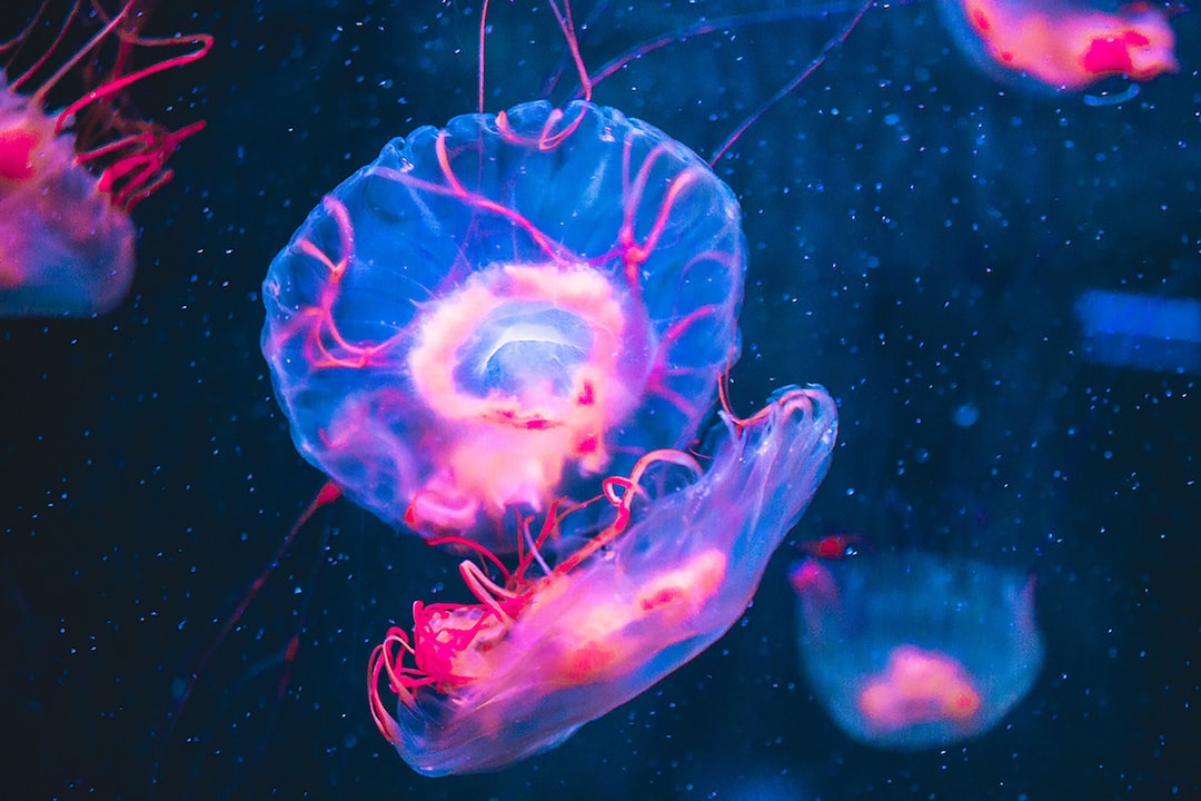 25 wichtige Fragen zu Aquarium Licht Wie Lange