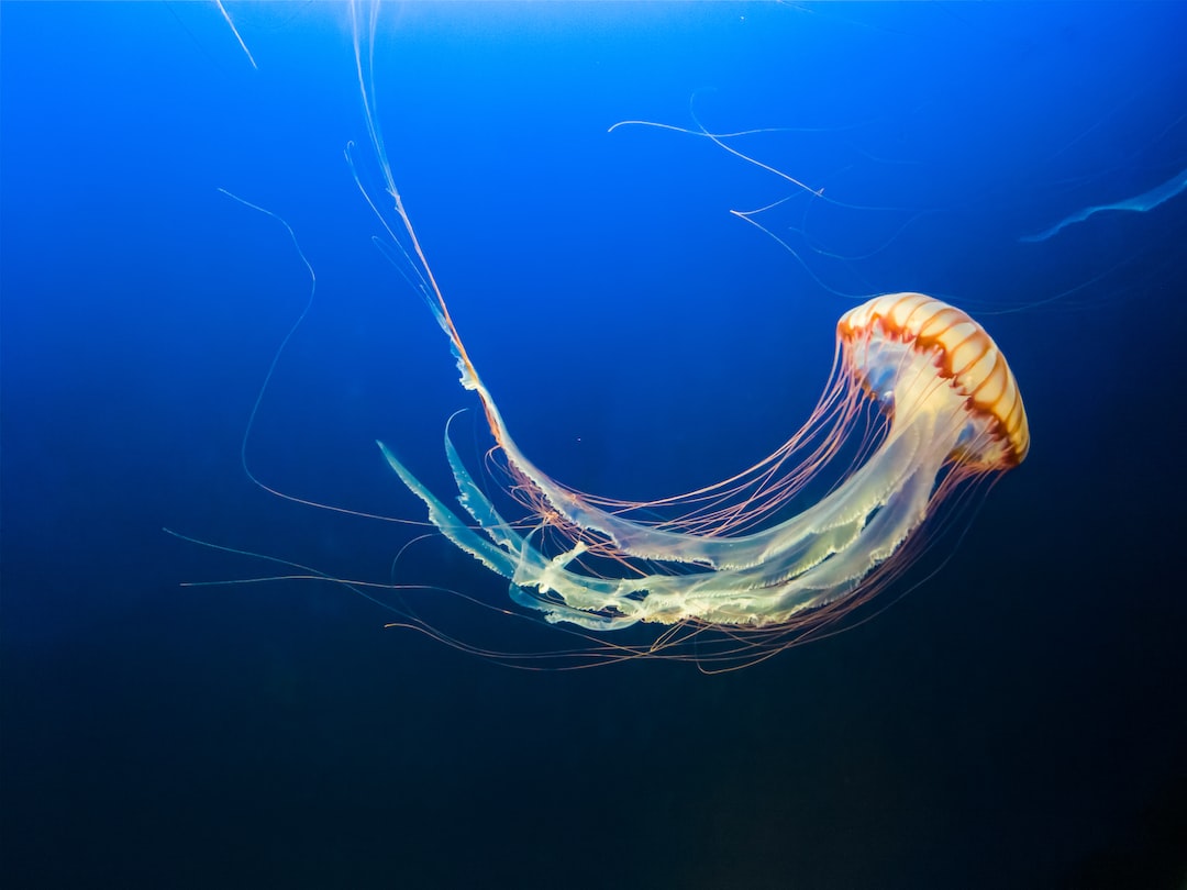 25 wichtige Fragen zu Oase Außenfilter Aquarium
