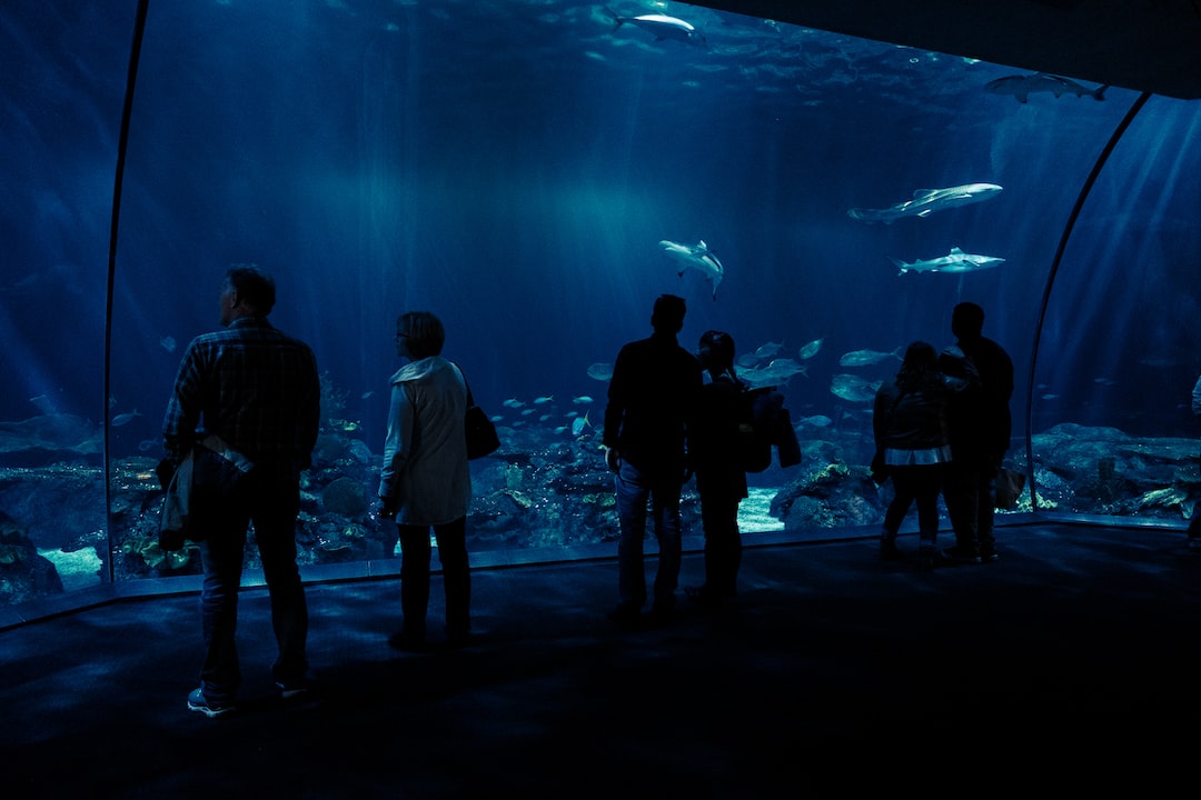 25 wichtige Fragen zu Große Garnelen Fürs Aquarium