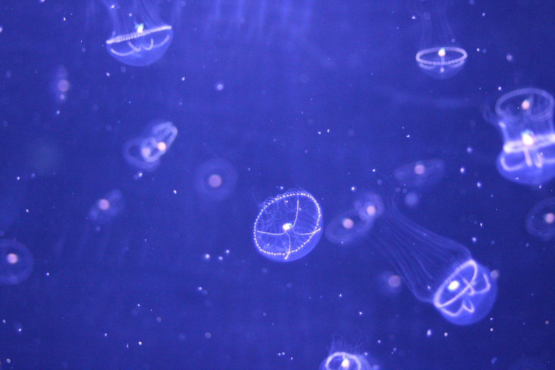 25 wichtige Fragen zu Süßwassermuschel Aquarium