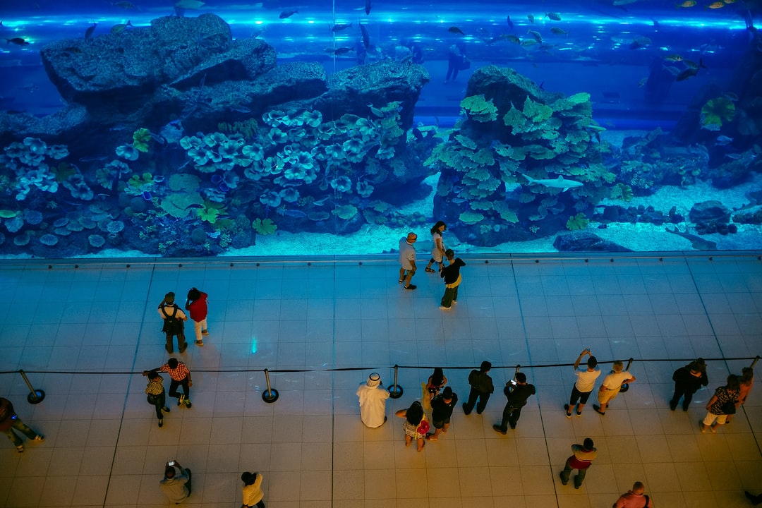 25 wichtige Fragen zu 200l Aquarium Einrichten