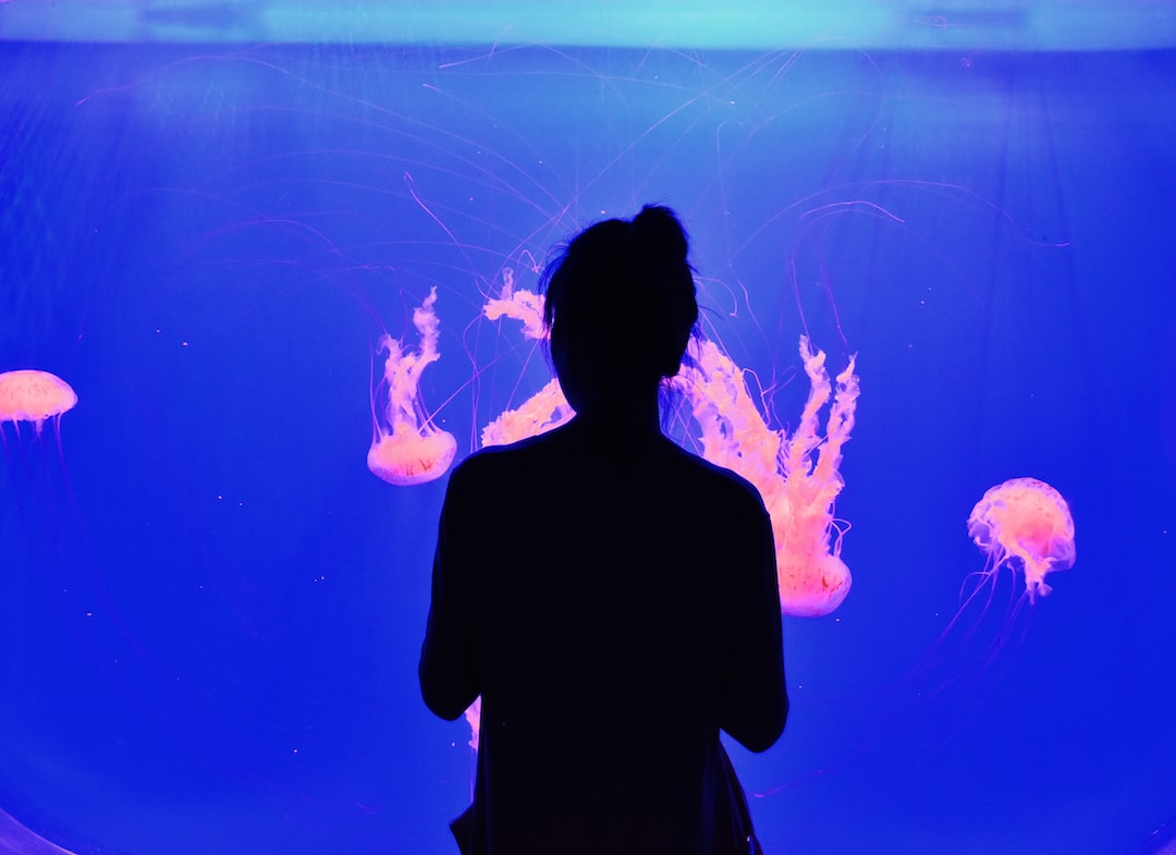 25 wichtige Fragen zu Aquarium Lumen Pro Liter Berechnen