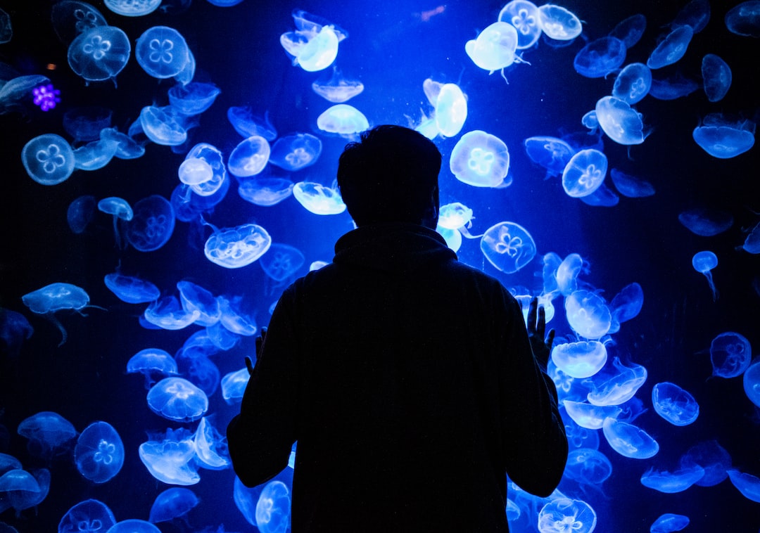 25 wichtige Fragen zu Bodengrunddünger Aquarium