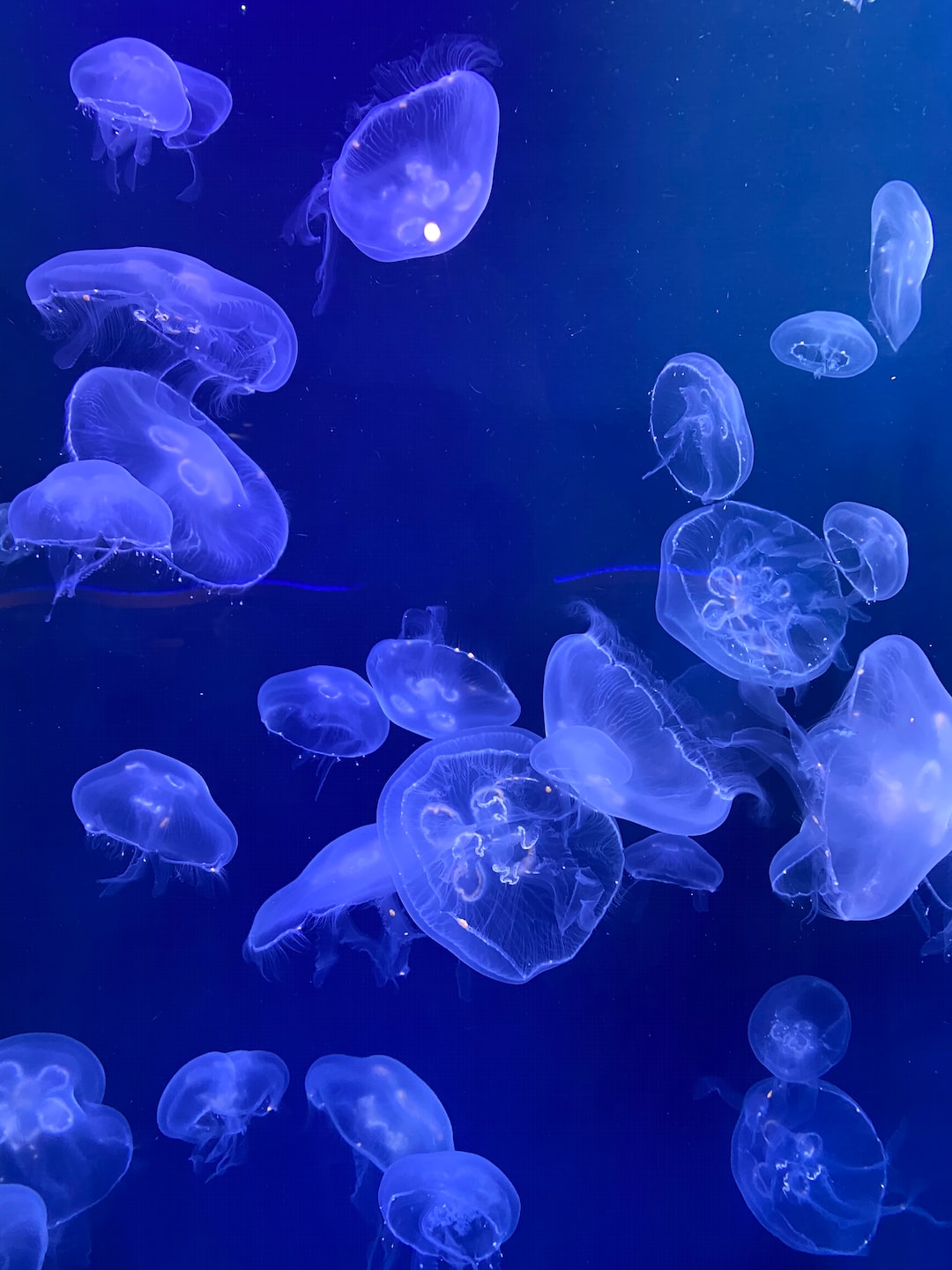 Cool Aquarium Ideas