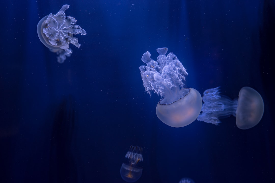 25 wichtige Fragen zu Aquarium Anlegen