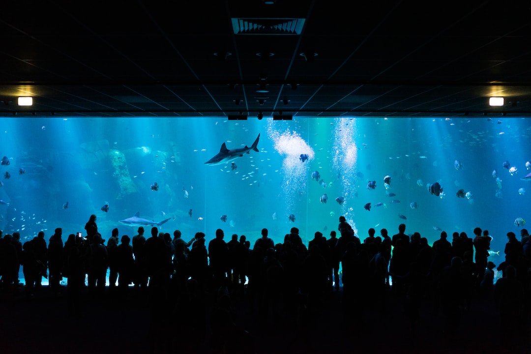 25 wichtige Fragen zu Uvc Klärer Aquarium Eheim