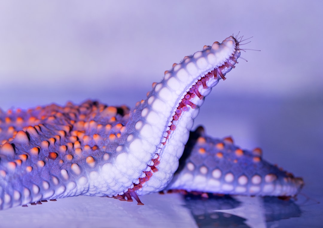 25 wichtige Fragen zu Karpfen Aquarium