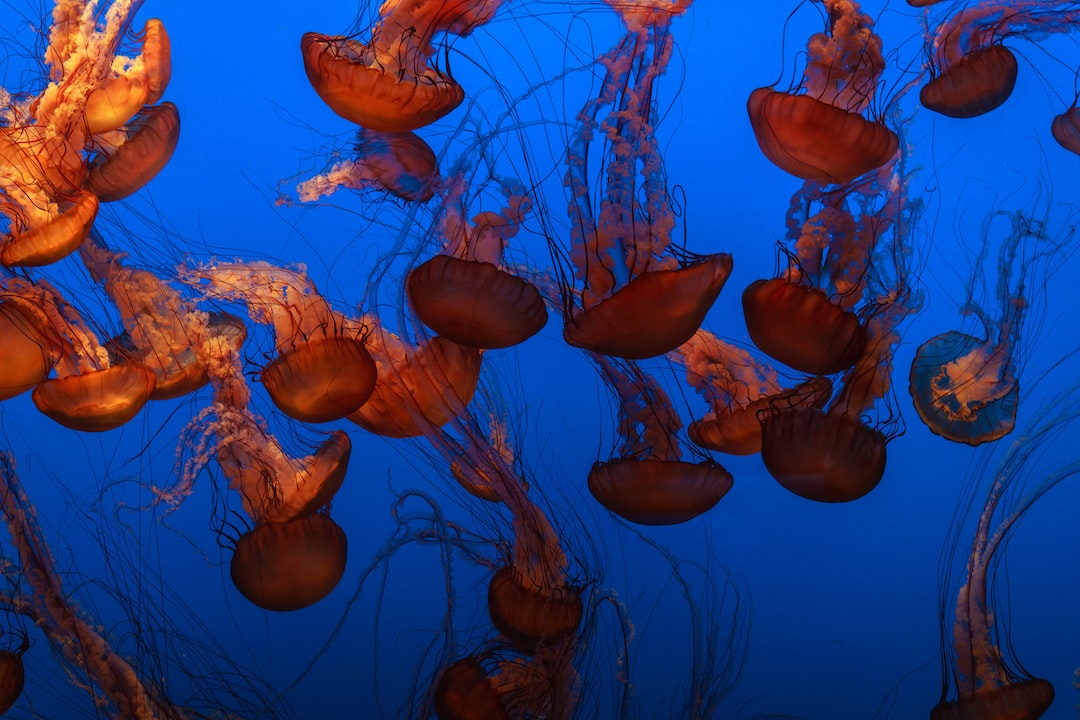 25 wichtige Fragen zu Where Should A Circulation Pump Be Placed In An Aquarium?