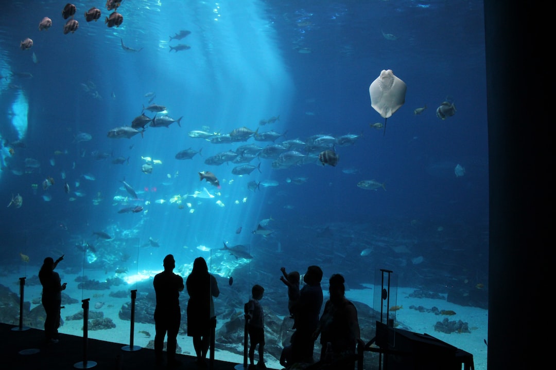 25 wichtige Fragen zu Planet Zoo Aquarium