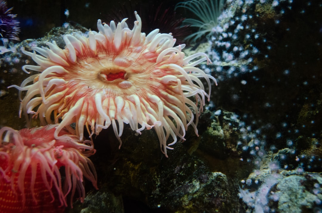 25 wichtige Fragen zu Licht Aquarium
