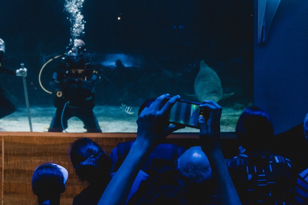 25 wichtige Fragen zu Baby Hai Aquarium