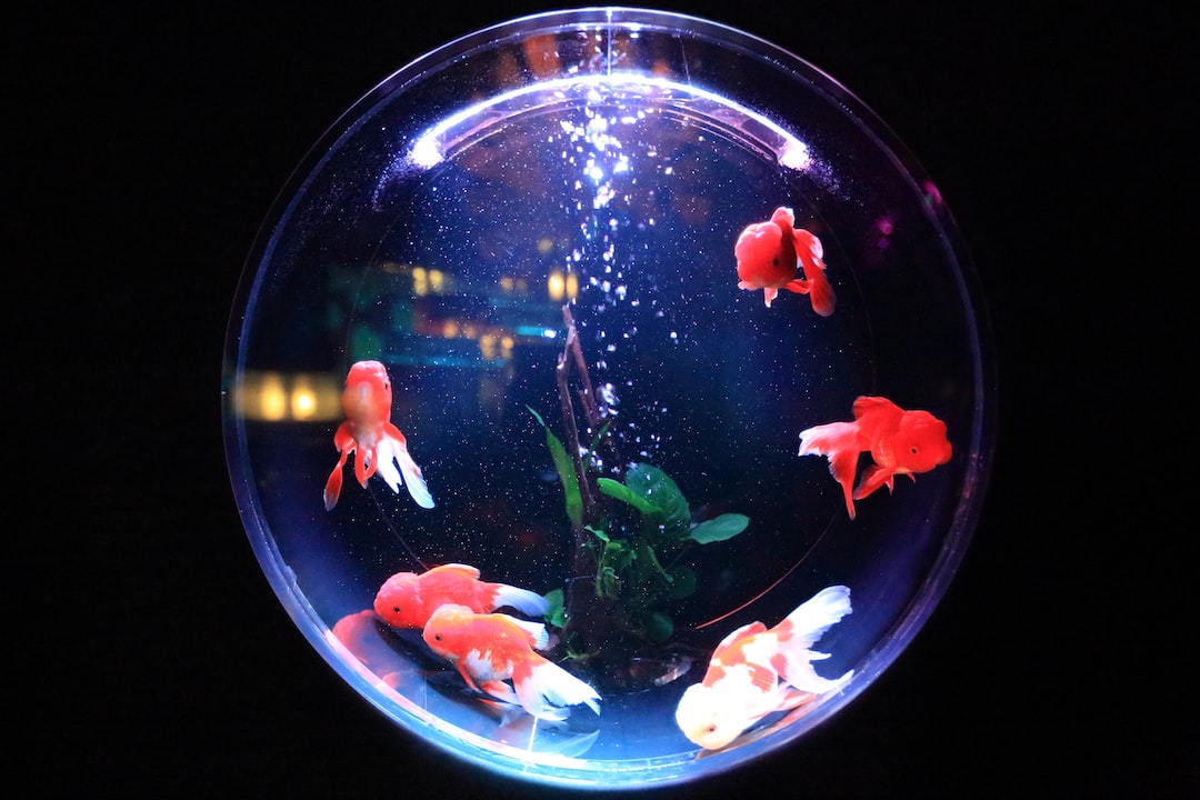 Led Lampe Aquarium