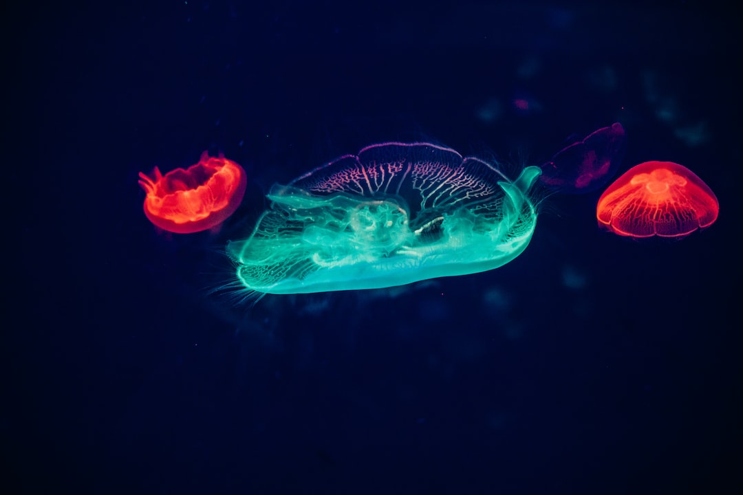 25 wichtige Fragen zu Aquarium Richtig Einfahren