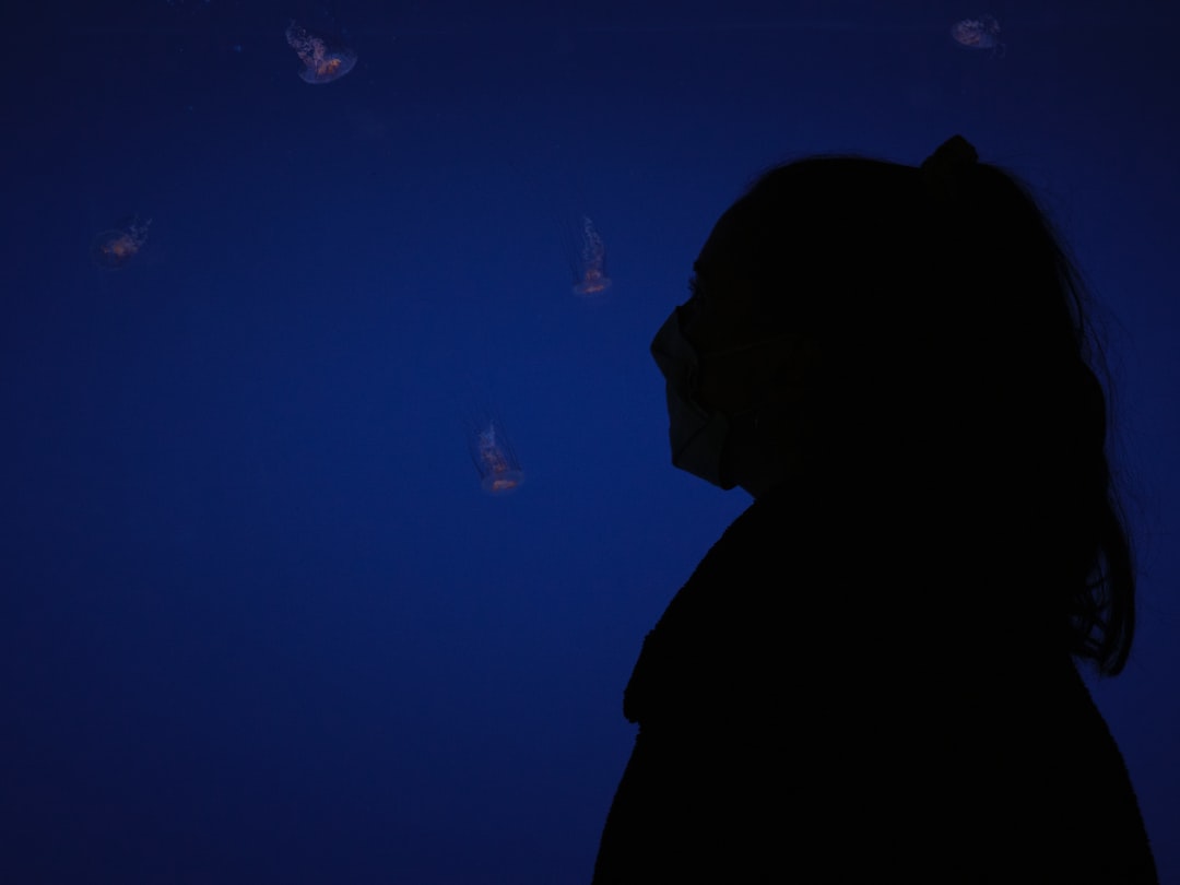 9 wichtige Fragen zu Glasrose Aquarium